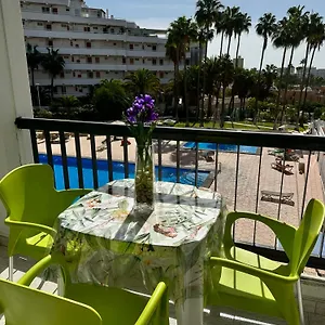 In Vina Del Mar , Playa de las Americas (Tenerife) Spagna